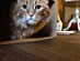 View full size picture