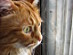 View full size picture