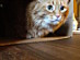 View full size picture