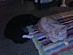View full size picture