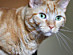 View full size picture