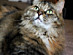 View full size picture