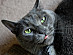 View full size picture