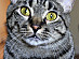 View full size picture