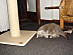 View full size picture