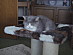 View full size picture