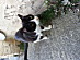 View full size picture