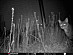 View full size picture