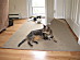 View full size picture