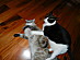 View full size picture