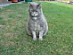 View full size picture