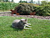 View full size picture