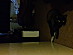 View full size picture