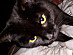 View full size picture