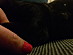 View full size picture