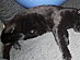 View full size picture