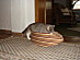 View full size picture