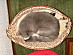 View full size picture