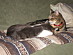 View full size picture