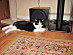 View full size picture
