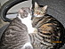 View full size picture