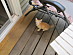View full size picture