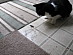 View full size picture