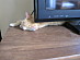 View full size picture