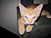 View full size picture