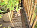 View full size picture