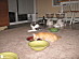 View full size picture