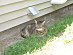 View full size picture