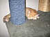 View full size picture