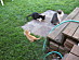View full size picture