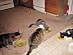 View full size picture