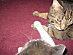 View full size picture
