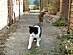 View full size picture