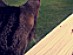 View full size picture