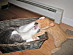 View full size picture