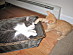 View full size picture