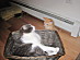 View full size picture