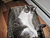 View full size picture