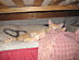 View full size picture