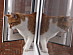 View full size picture