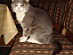 View full size picture