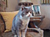 View full size picture