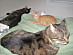 View full size picture