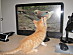 View full size picture