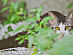 View full size picture