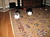 View full size picture